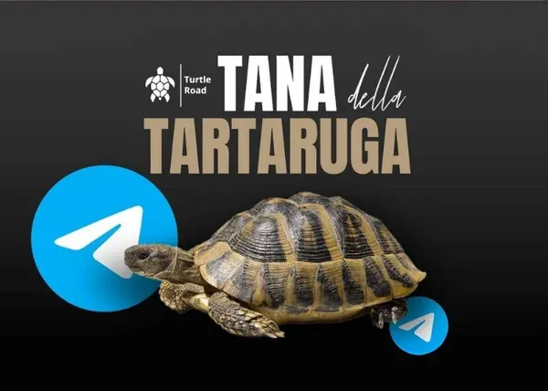Tana della Tartaruga – Federico Ronzoni
