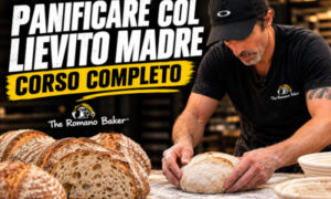Panificare col Lievito Madre – The Romano Baker